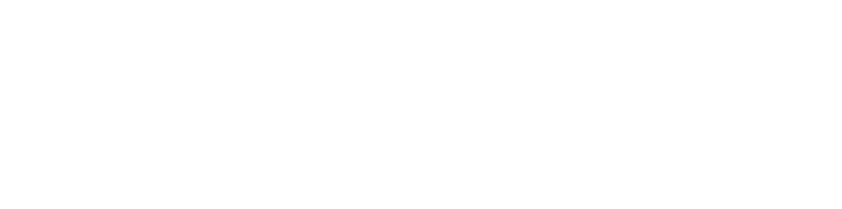 Mectric MSE Logo